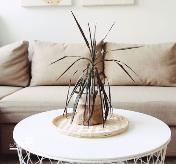 Bamboo Flat Basket (4 Pcs Set)